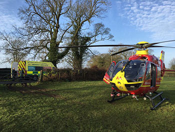 Case 1 - Kicked by a horse