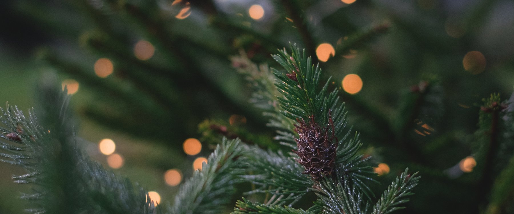 Christmas in Gloucestershire