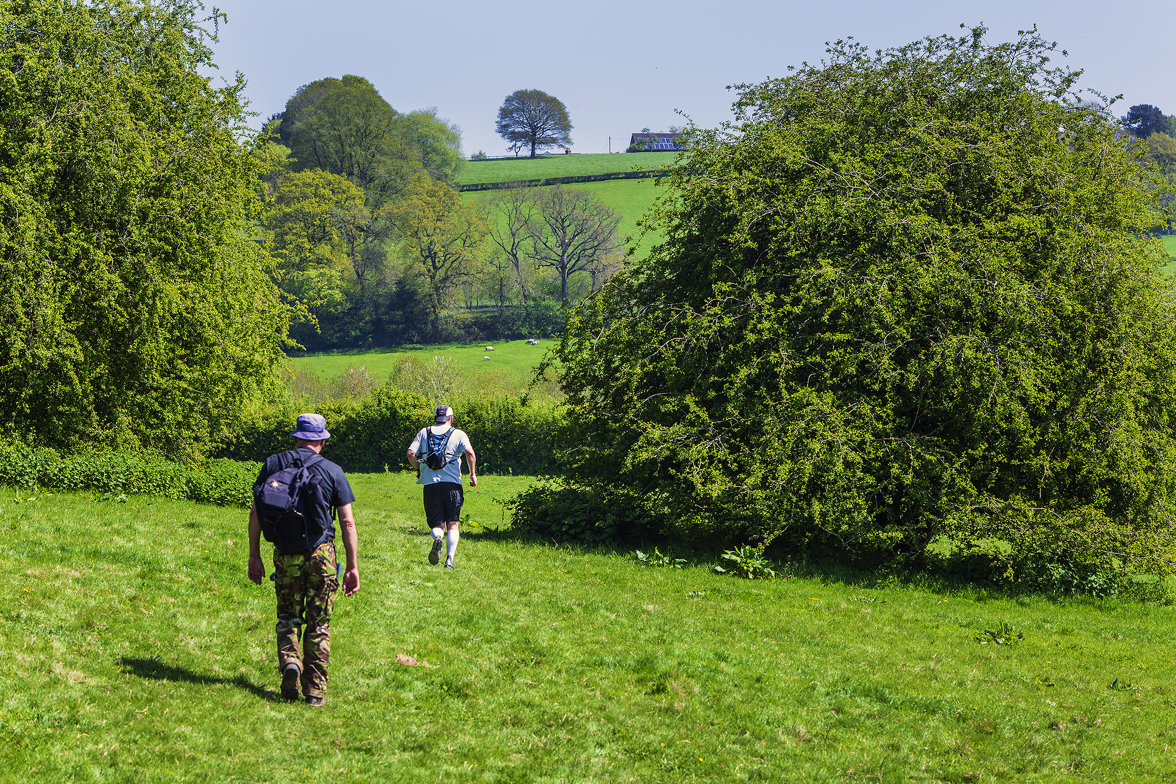 Midlands Air Ambulance Charity’s Walk4Life Returns