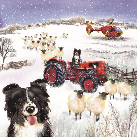 Countryside Winter and Sheps Tractor Christmas Cards Midlands Air