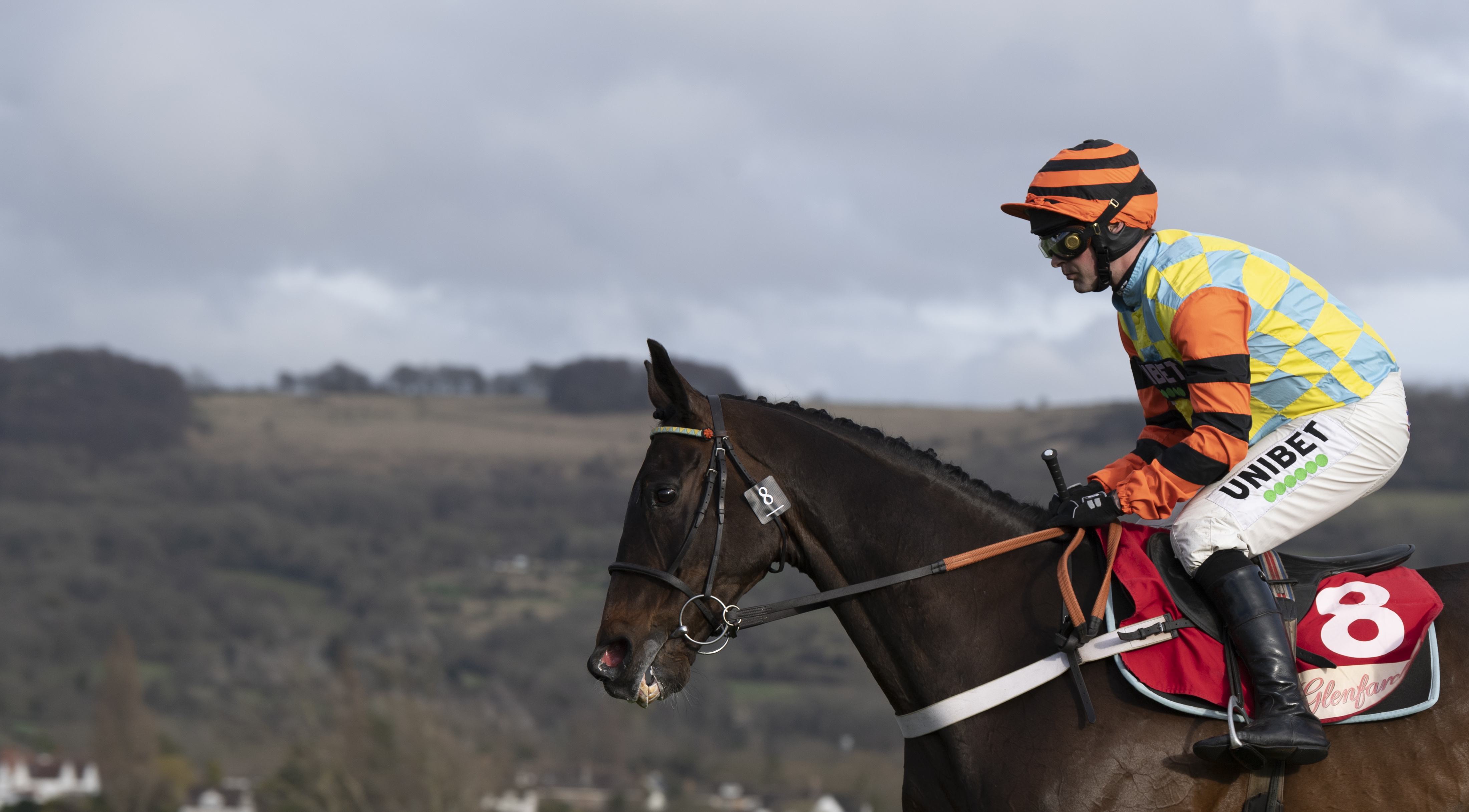 Midlands Air Ambulance Charity To Benefit From Cheltenham's Season Finale