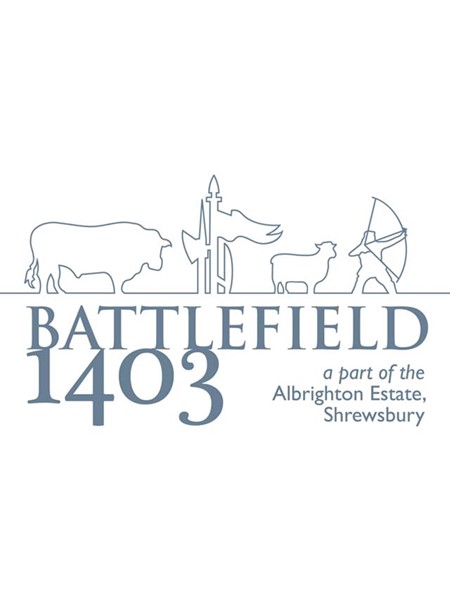 Battlefield 1403