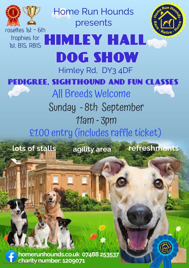 Home Run Hounds Sighthound and All Breed Dog Show