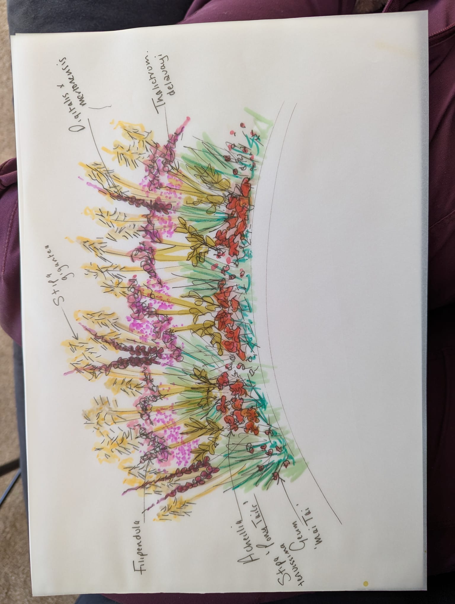 Planting design