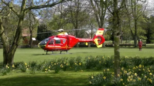 A Midlands Air Ambulance helicopter landed on the grass in a local park, lined with daffodils.