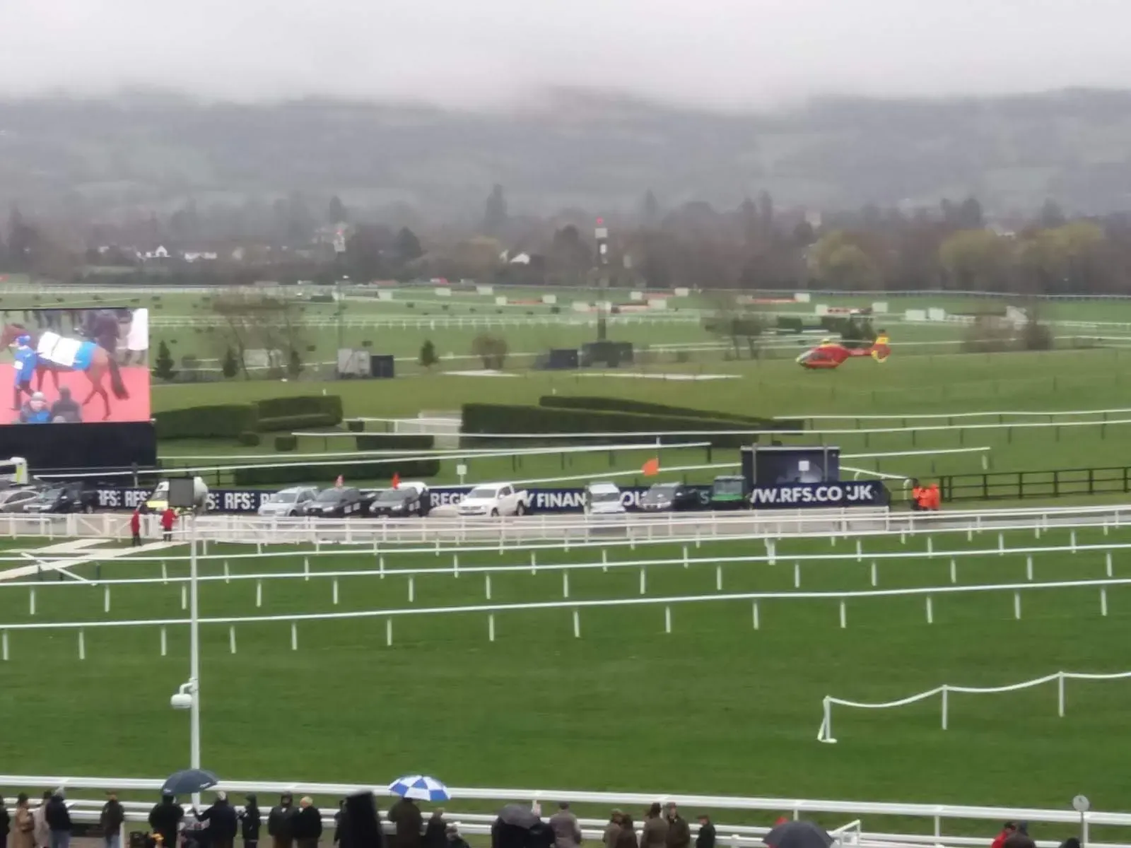 Maac Araffes Are Watching A Horse Race On A Big Screen