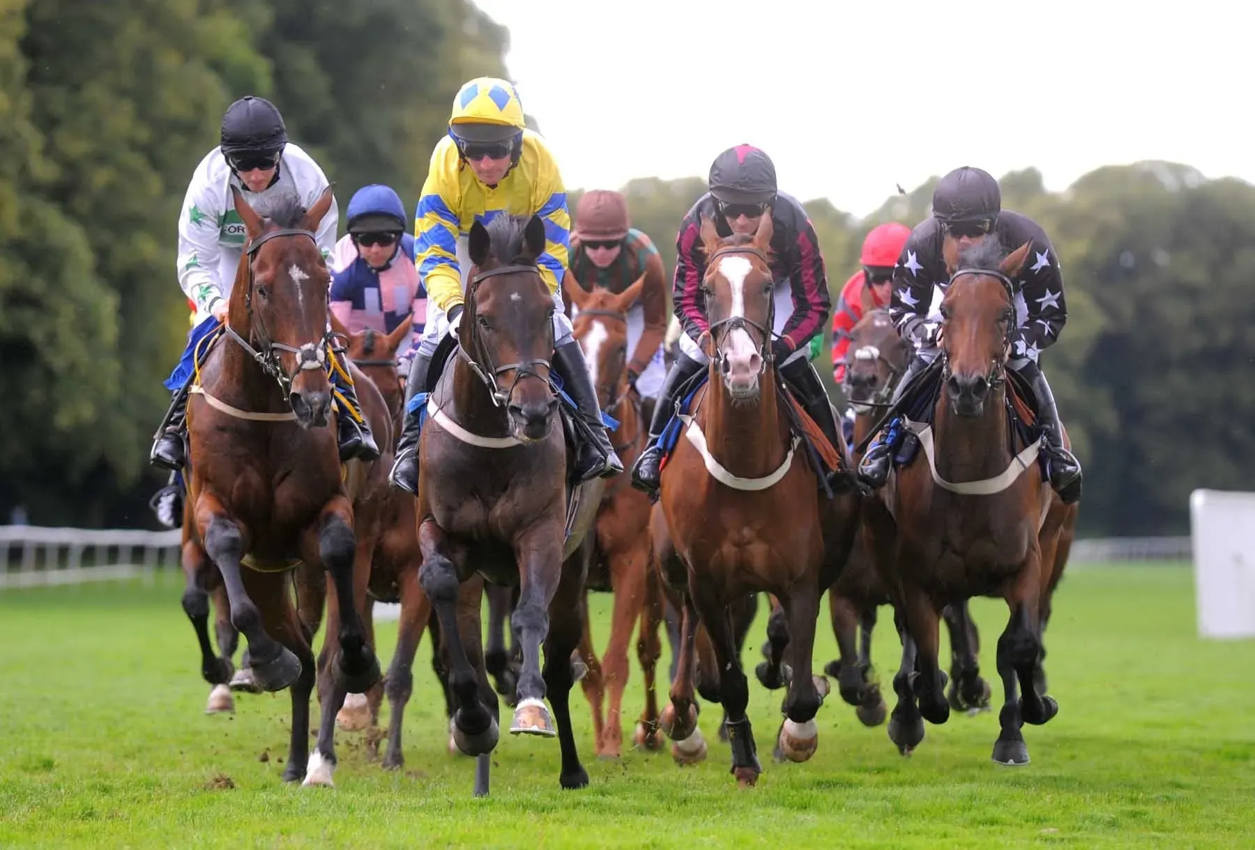 Maac Horses Racing On A Race Track With Jockeys And Riders