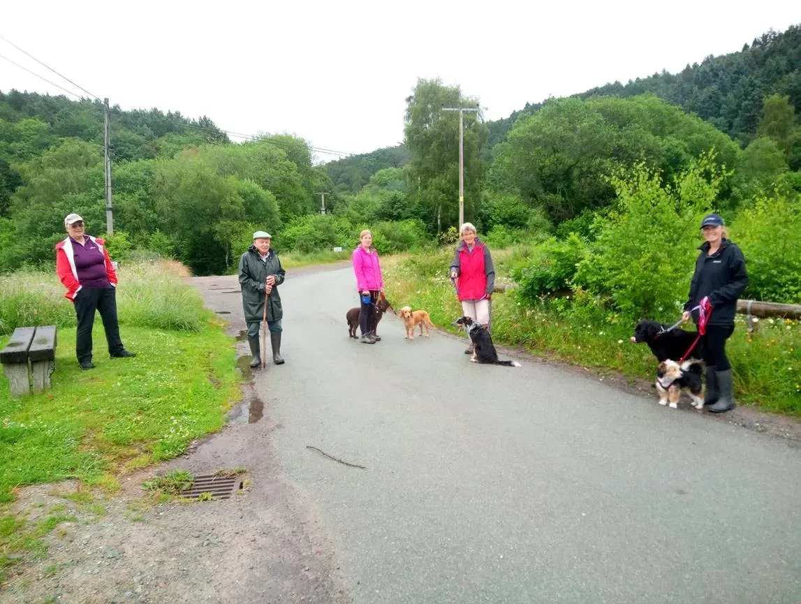 Maac Several People And Dogs Are Walking Down A Paved Road