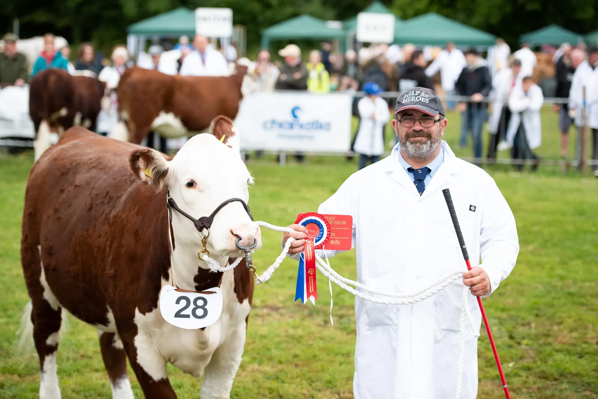 Maac There Is A Man Standing Next To A Cow With A Ribbon