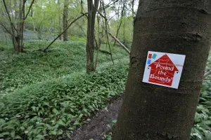 Maac There Is A Sticker On A Tree That Says I Love The Red House