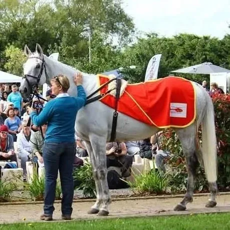 Maac There Is A Woman Standing Next To A Horse With A Red Blanket