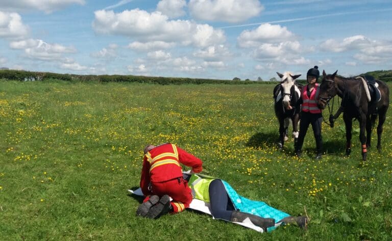 Horse Incident
