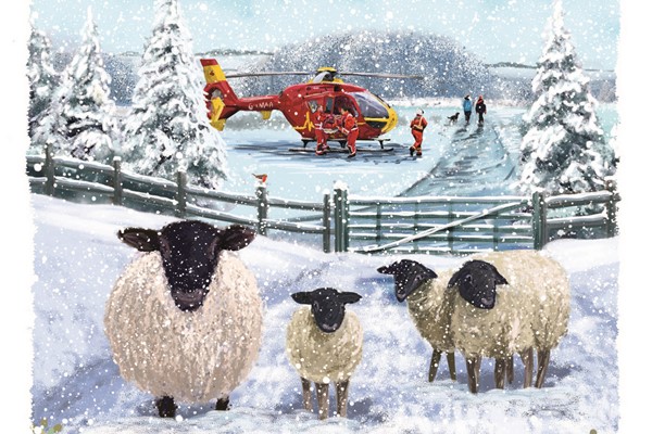 Shop Gifts And Gift Lifesaving Missions To Midlands Air Ambulance Charity