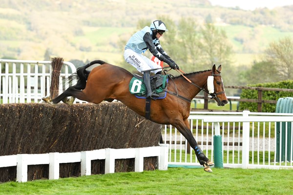 Exclusive Access to Cheltenham’s Season Finale for Midlands Air Ambulance Charity
