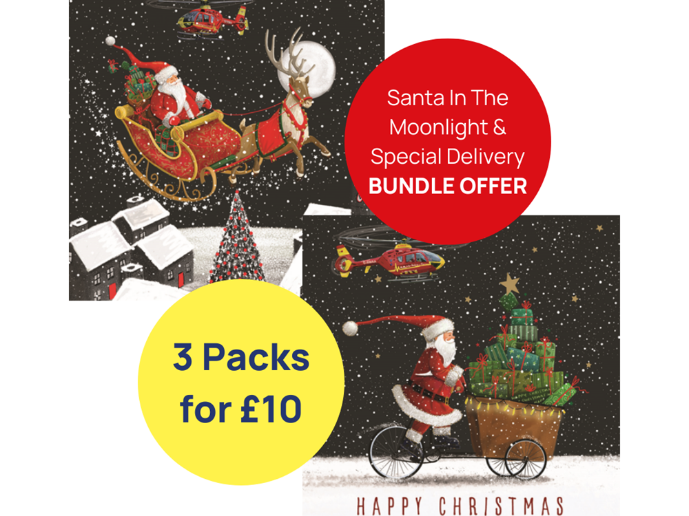 3 Pack Christmas Card Bundle - Santa In The Moonlight & Special Delivery