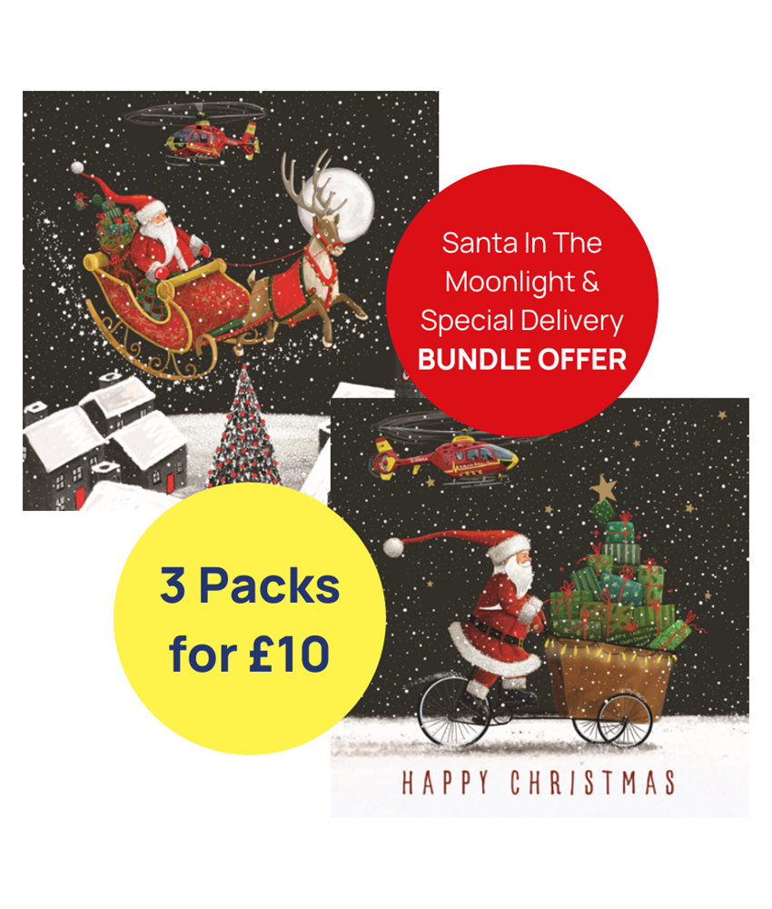3 Pack Christmas Card Bundle - Santa In The Moonlight & Special Delivery