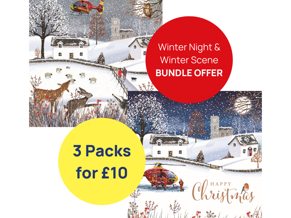 3 Pack Christmas Card Bundle - Winter Scene & Winter Night