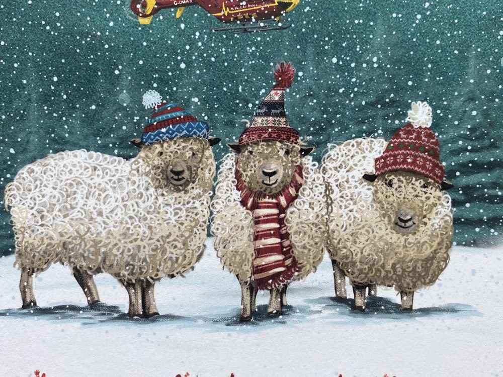 We Three Sheep and Highland Fluffy Cow Christmas Cards