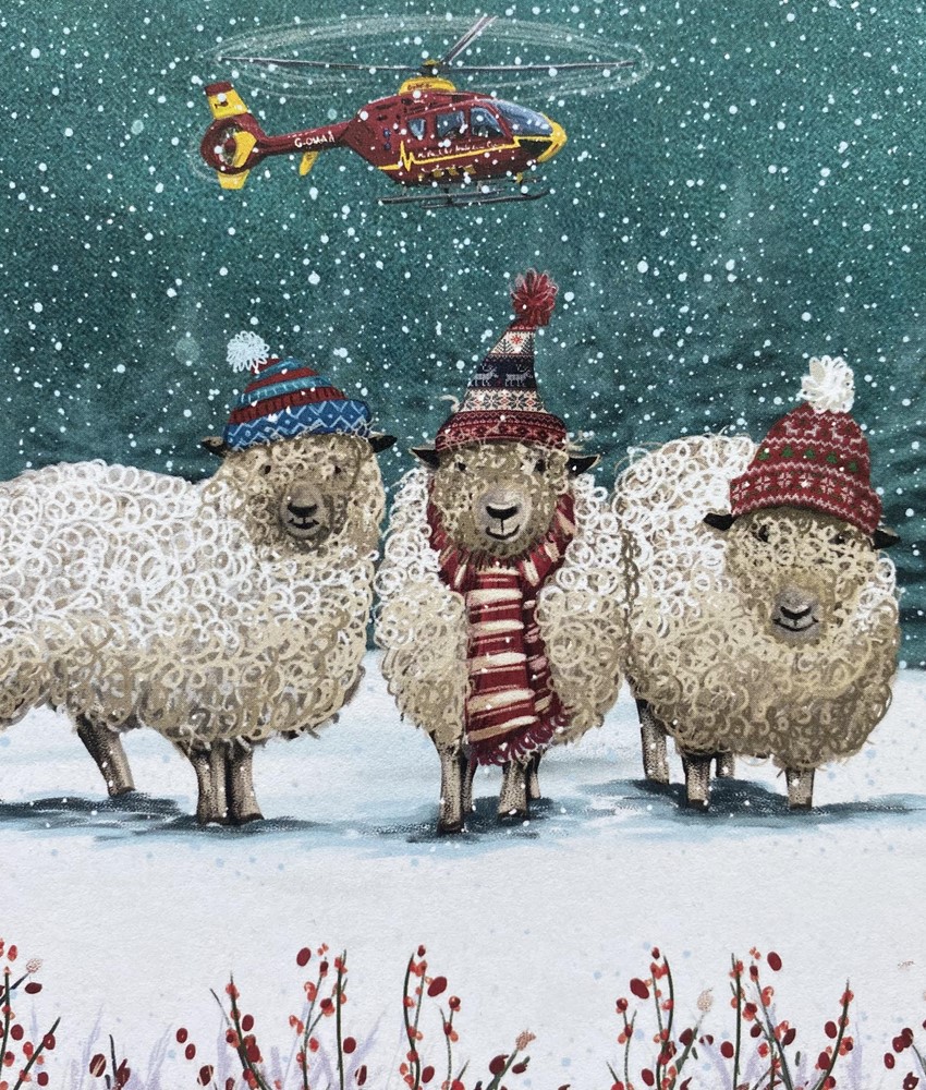 We Three Sheep and Highland Fluffy Cow Christmas Cards