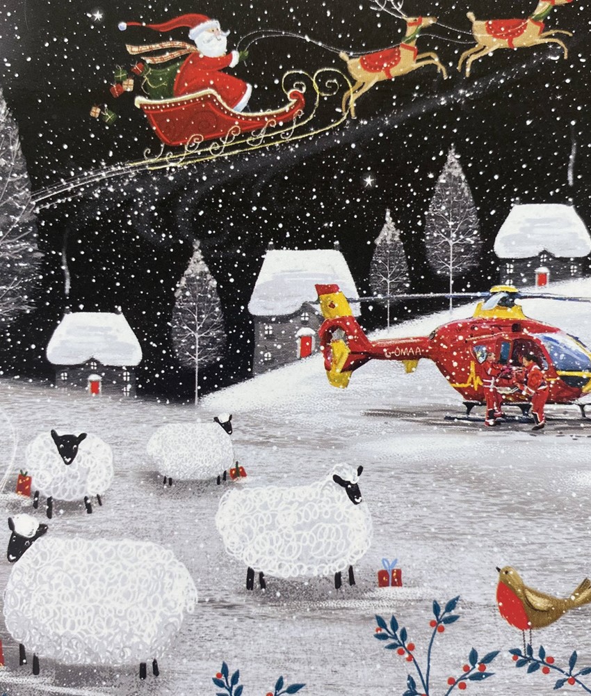 Flying Over The Fields and While We Are Sleeping Christmas Cards