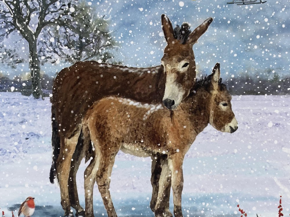 Warm Winter Woollies and Donkeys In The Snow Christmas Cards