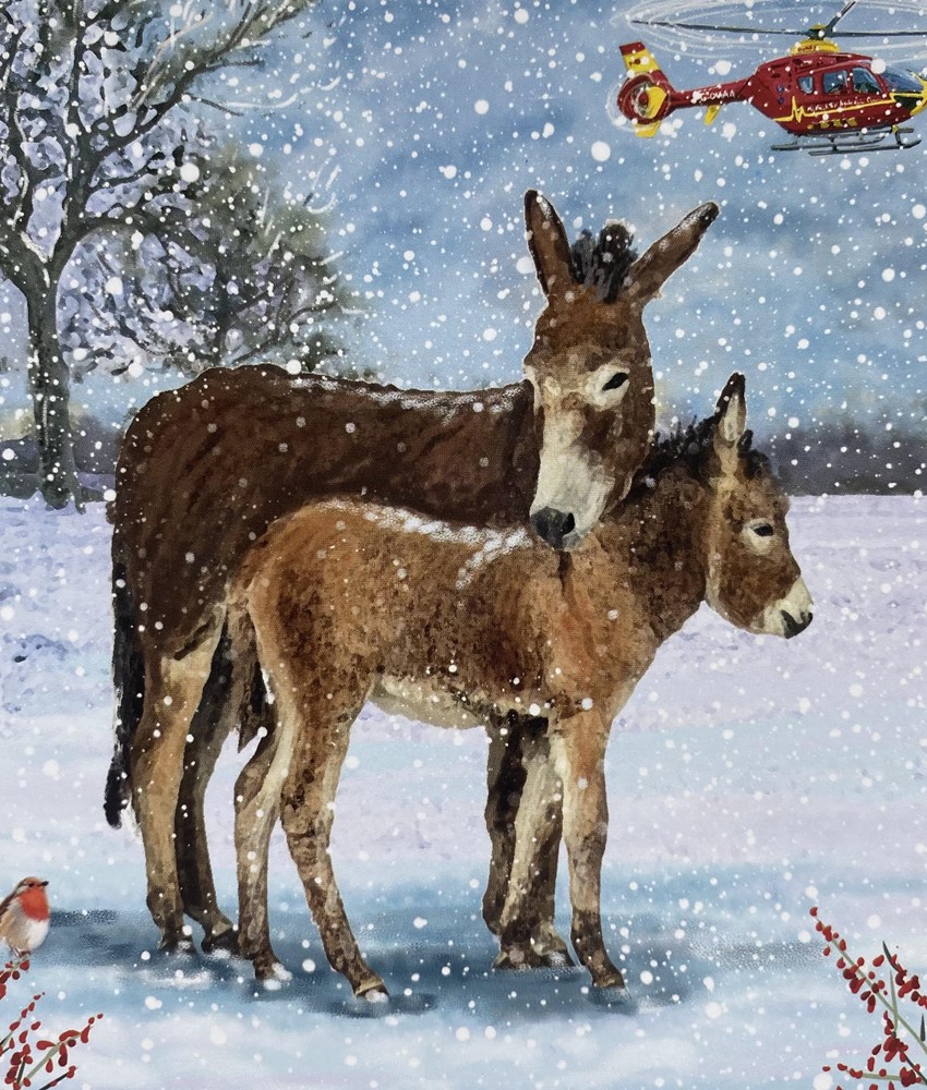 Warm Winter Woollies and Donkeys In The Snow Christmas Cards